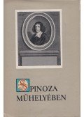 Nádor György - Spinoza műhelyében