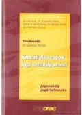 Dr. Gál Judit,Dr. Komáromi Gábor,Sáriné dr. Simkó Ágnes,Dr. Sárközy Tamás,Dr. Wellmann György,Dr. Zsohár András - A kisvállalkozások jogi szabályozása az új társasági törvény alapján