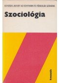 Kulcsár Kálmán - Szociológia