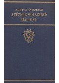 Móricz Zsigmond - A tűznek nem szabad kialudni