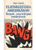 Bíró Dávid - Ellenkultúra Amerikában
