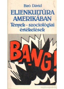 Bíró Dávid - Ellenkultúra Amerikában Bíró Dávid - Ellenkultúra Amerikában, Budapest 1987 antikvár könyv