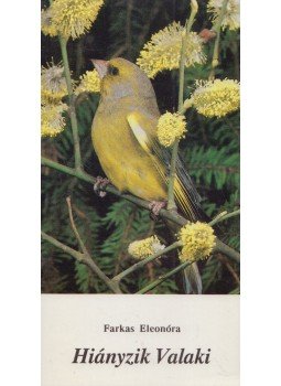 Farkas Eleonóra - Hiányzik valaki Farkas Eleonóra - Hiányzik valaki, Miskolc 1992 antikvár könyv