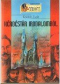 Karádi Zsolt - Kérdéstár irodalomból