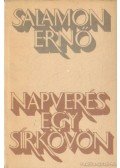 Salamon Ernő - Napverés egy sírkövön