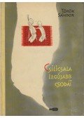 Török Sándor - Csilicsala legújabb csodái