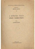 Banner János - A kőkori élet Békés Vármegyében