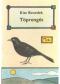 Kiss Benedek - Töprengés