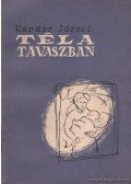 Kárász József - Tél a tavaszban