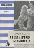 Csörgeő Tibor dr. - A fényképezés gyakorlata