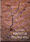 White, Ellen G. - Krisztus példázatai