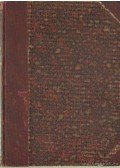 Pauer Imre - Az ethikai determinismus elmélete