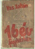 Vas Zoltán - 16 év fegyházban