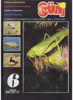 - Süni 1989. V. évfolyam 6. szám - Süni 1989. V. évfolyam 6. szám, Budapest 1989 antikvár könyv