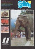Udvari Gábor - Süni 1988. IV évfolyam 11. szám