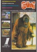 Udvari Gábor - Süni 1988. IV. évfolyam 1. szám