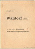 Mezei Ottóné dr. - Járjak-e a Waldorf-úton?