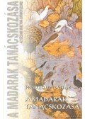 Ferid Ed Din Attar - A madarak tanácskozása