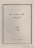Fecske Csaba - Ami lehetne még