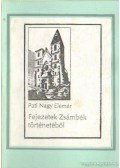 Pati Nagy Elemér - Fejezetek Zsámbék történeténől