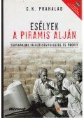 C. K. Prahalad - Esélyek a piramis alján