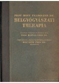 Prof. Dr. Hoff Ferdinánd Dr.,Prof. Dr. Haynal Imre Dr. - Belgyógyászati therapia