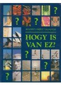 Csaba Emese - Hogy is van ez?