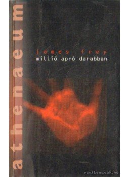James Frey - Millió apró darabban James Frey - Millió apró darabban, Budapest 2003 antikvár könyv