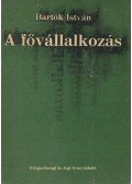 Bartók István - A fővállalkozás