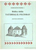Bódisz Attila - Tatárhalál Pácinban