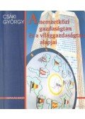 Csáki György - A nemzetközi gazdaságtan és a világgazdaságtan alapjai