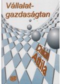 Chikán Attila - Vállalatgazdaságtan