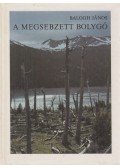 Balogh János - A megsebzett bolygó