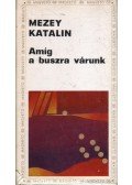 Mezey Katalin - Amíg a buszra várunk