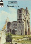 Dercsényi Balázs - Zsámbék - Templomrom
