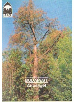 Priszter Szaniszló - Budapest -Városliget Priszter Szaniszló - Budapest -Városliget, Budapest 1992 antikvár könyv