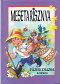 Füzesi Zsuzsa - Mesetarisznya