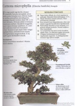 Tomlinson, Harry - Bonsai Tomlinson, Harry - Bonsai, Budapest 2011 antikvár könyv