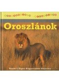 Sarah Albee - Oroszlánok