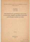 Vida Miklós - Gázcsőhálózatok gazdaságos méretezése és tervezése, meglévő gázellátó hálózatok szállítókapacitásának növelése