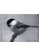 Thumbnail kép