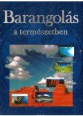 Csatlósné Miklós Anna - Barangolás a természetben