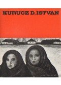 Dömötör János - Kurucz D. István festőművész kiállítása