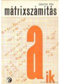 Scharnitzky Viktor - Mátrixszámítás