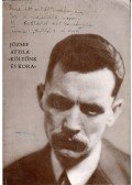 Tverdota György,Vas István - József Attila - "Költőnk és  kora"
