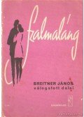 Breitner János - Szalmaláng