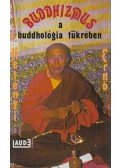 Hetényi Ernő dr. - Buddhizmus a buddhológia tükrében