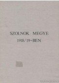 Mészáros Ferenc - Szolnok megye 1918/19-ben