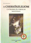 Tóth Boldizsárné - A cserkészliliom gyökerei és virágai Mezőtúron