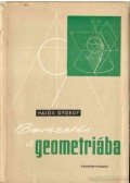 Hajós György - Bevezetés a geometriába